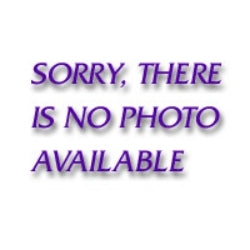 GearWrench 3/8" Non-Quick Release Ratchet Repair Kit (dual pa