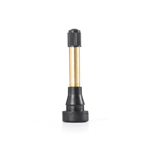 Tire Mechanic's Resource TR602HP Brass Stem Valve (Pack of 100)